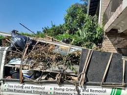 Best Appliance Removal  in Talpa, NM